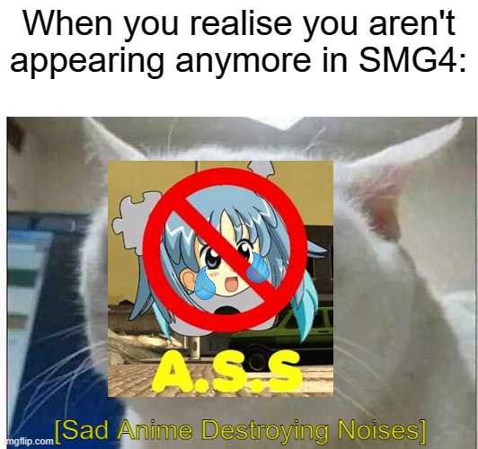 TBH i wish it wasn't real | When you realise you aren't appearing anymore in SMG4:; [Sad Anime Destroying Noises] | image tagged in crying cat | made w/ Imgflip meme maker