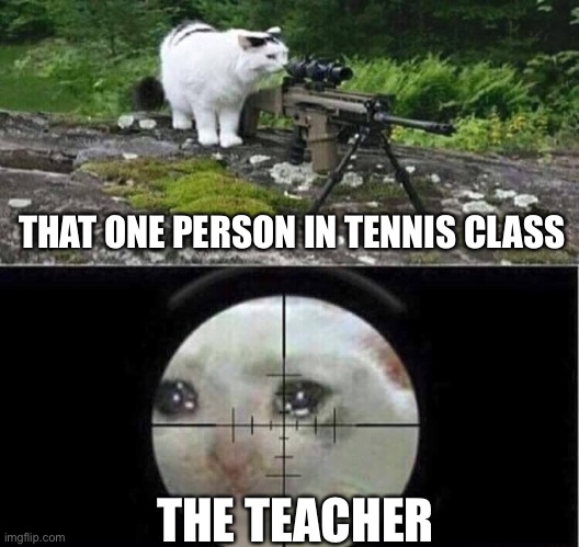 Sniper cat | THAT ONE PERSON IN TENNIS CLASS; THE TEACHER | image tagged in sniper cat | made w/ Imgflip meme maker