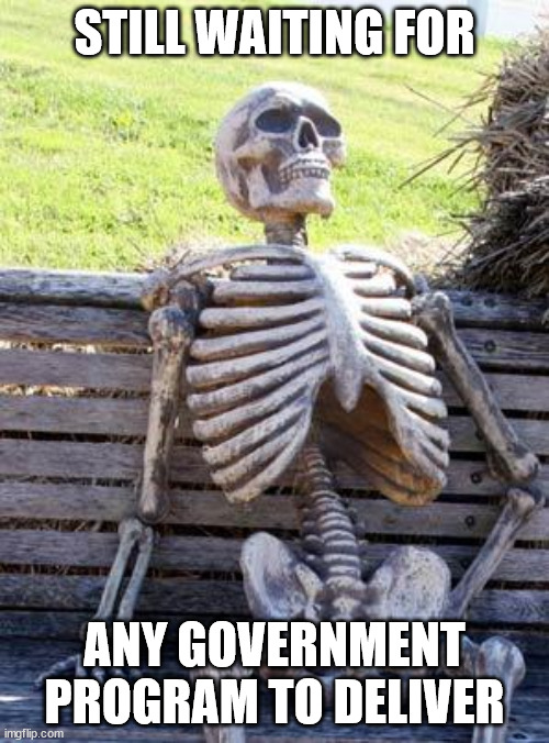 Government doesn't work! | STILL WAITING FOR; ANY GOVERNMENT PROGRAM TO DELIVER | image tagged in memes,waiting skeleton | made w/ Imgflip meme maker