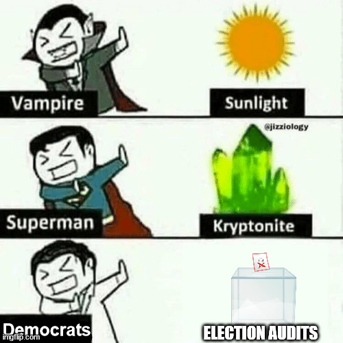 weakness | Democrats; ELECTION AUDITS | image tagged in weakness | made w/ Imgflip meme maker