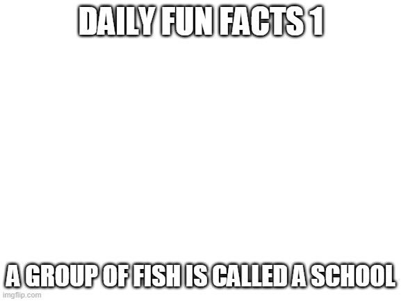 Blank White Template | DAILY FUN FACTS 1; A GROUP OF FISH IS CALLED A SCHOOL | image tagged in blank white template | made w/ Imgflip meme maker