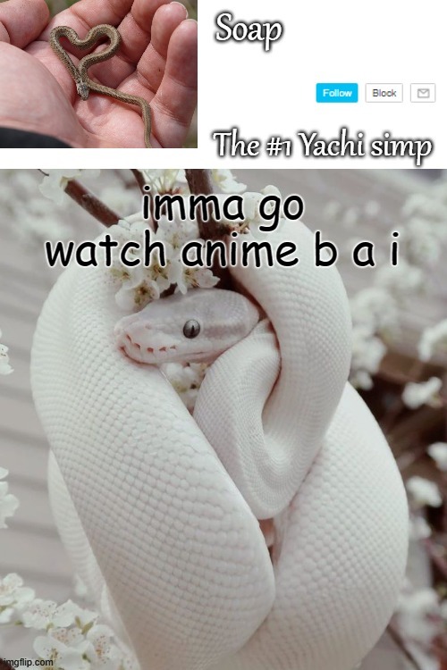 imma go watch anime b a i | image tagged in soap snake temp ty yachi | made w/ Imgflip meme maker