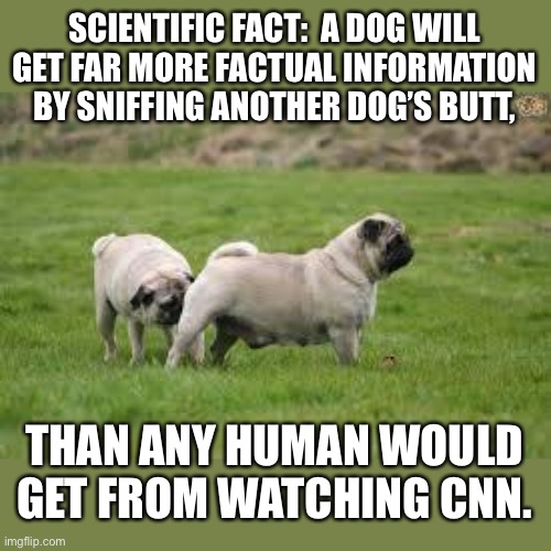 It’s a fact, Jack! | SCIENTIFIC FACT:  A DOG WILL GET FAR MORE FACTUAL INFORMATION BY SNIFFING ANOTHER DOG’S BUTT, THAN ANY HUMAN WOULD GET FROM WATCHING CNN. | image tagged in dog sniff | made w/ Imgflip meme maker