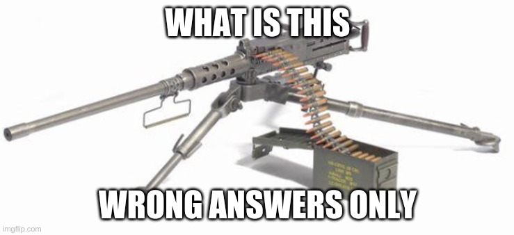 mg 50.cal | WHAT IS THIS; WRONG ANSWERS ONLY | image tagged in gun,fun | made w/ Imgflip meme maker