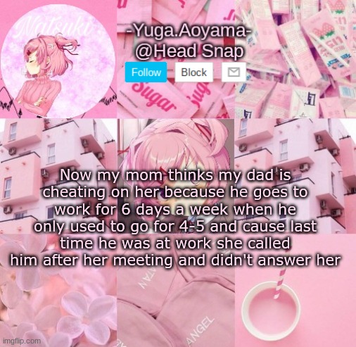 What if he was just busy like bro | Now my mom thinks my dad is cheating on her because he goes to work for 6 days a week when he only used to go for 4-5 and cause last time he was at work she called him after her meeting and didn't answer her | image tagged in natsuki temp | made w/ Imgflip meme maker