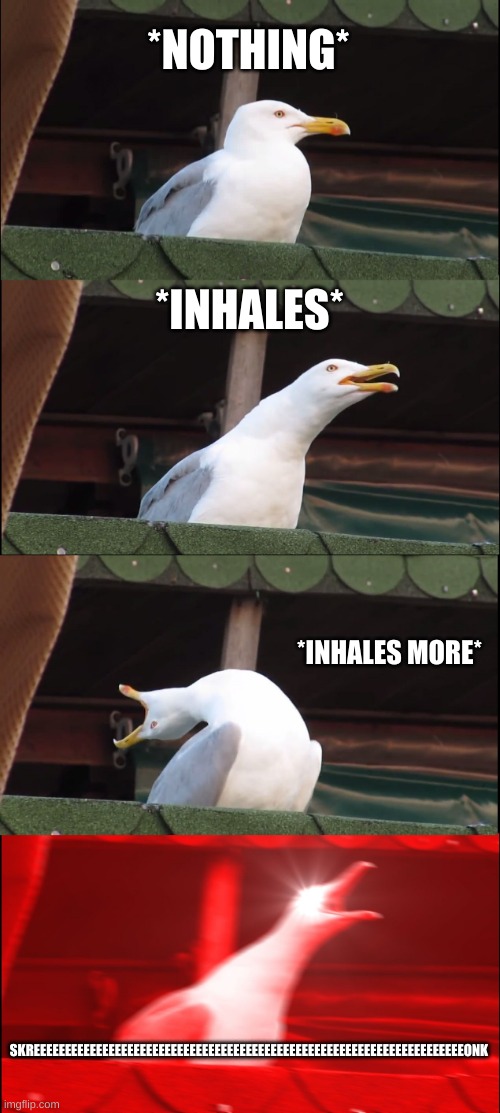 Godzilla when he does his alpha roar: | *NOTHING*; *INHALES*; *INHALES MORE*; SKREEEEEEEEEEEEEEEEEEEEEEEEEEEEEEEEEEEEEEEEEEEEEEEEEEEEEEEEEEEEEEEEEEEEEONK | image tagged in memes,inhaling seagull | made w/ Imgflip meme maker