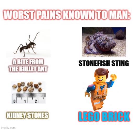 Painful but true | LEGO BRICK | image tagged in most painful things known to man,lego,memes | made w/ Imgflip meme maker