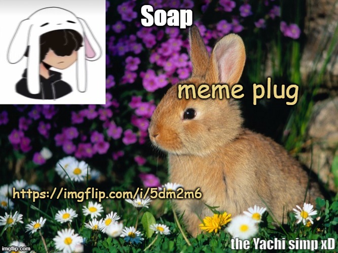 okay bac to anime now | meme plug; https://imgflip.com/i/5dm2m6 | image tagged in soap bunny temp ty yachi 3 | made w/ Imgflip meme maker
