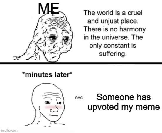 Me_irl | ME; Someone has upvoted my meme | image tagged in memes | made w/ Imgflip meme maker