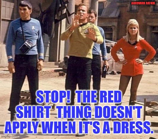 Red dress Star Trek | AARDVARK RATNIK; STOP!  THE RED SHIRT  THING DOESN'T APPLY WHEN IT'S A DRESS. | image tagged in star trek,tv show,funny memes,captain kirk,mr spock | made w/ Imgflip meme maker