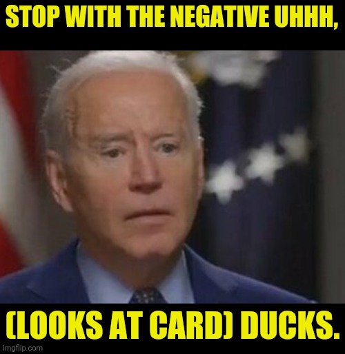 STOP WITH THE NEGATIVE UHHH, (LOOKS AT CARD) DUCKS. | made w/ Imgflip meme maker