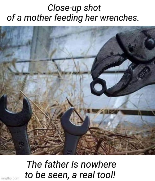 Mother Love | Close-up shot of a mother feeding her wrenches. The father is nowhere to be seen, a real tool! | image tagged in tools,spiderman wrench,mother,funny memes | made w/ Imgflip meme maker