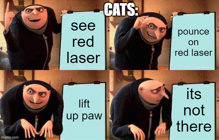 where did it go |  CATS:; see red laser; pounce on red laser; lift up paw; its not there | image tagged in memes,gru's plan,cats,laser | made w/ Imgflip meme maker