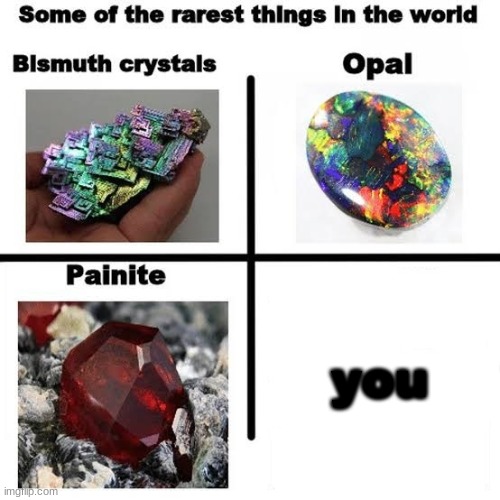 Some of the rarest things in the world | you | image tagged in some of the rarest things in the world | made w/ Imgflip meme maker