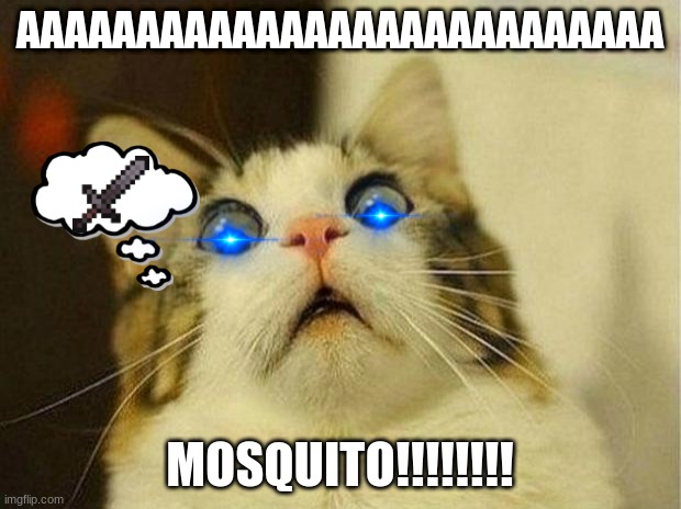 Scared Cat | AAAAAAAAAAAAAAAAAAAAAAAAAAA; MOSQUITO!!!!!!!! | image tagged in memes,scared cat | made w/ Imgflip meme maker