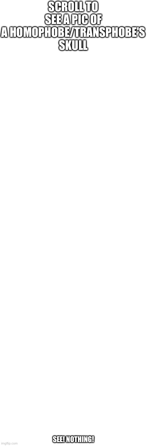 Blank Transparent Square | SCROLL TO SEE A PIC OF A HOMOPHOBE/TRANSPHOBE'S SKULL; SEE! NOTHING! | image tagged in memes,blank transparent square | made w/ Imgflip meme maker
