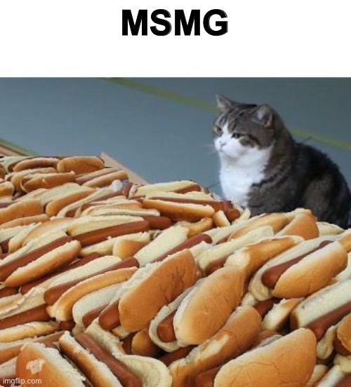 Too many hot dogs | MSMG | image tagged in too many hot dogs | made w/ Imgflip meme maker