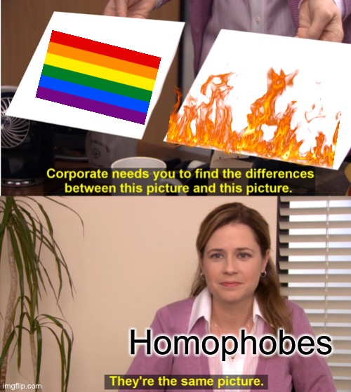 They're The Same Picture | Homophobes | image tagged in memes,they're the same picture | made w/ Imgflip meme maker