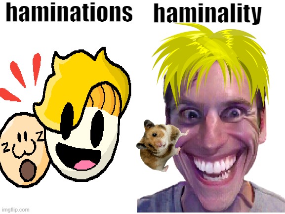 ham |  haminations; haminality | image tagged in haminations,funny,memes,sus,hamster,cursed image | made w/ Imgflip meme maker