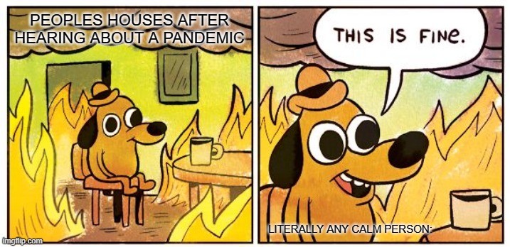 This Is Fine Meme |  PEOPLES HOUSES AFTER HEARING ABOUT A PANDEMIC; LITERALLY ANY CALM PERSON: | image tagged in memes,this is fine | made w/ Imgflip meme maker