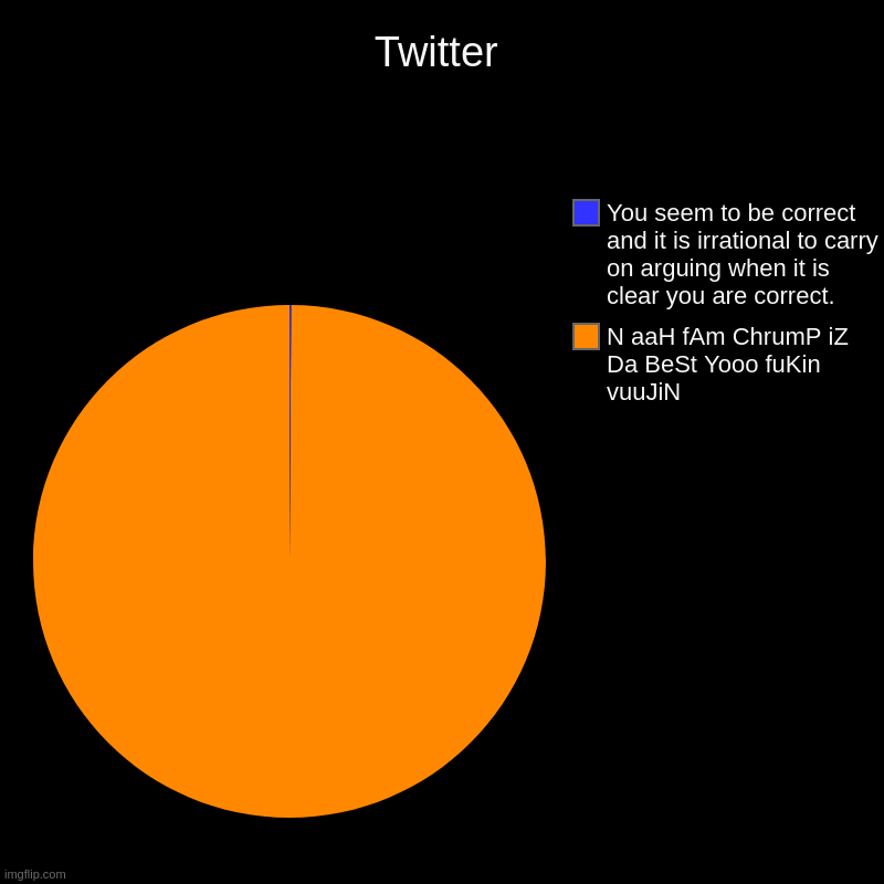 Twitter | N aaH fAm ChrumP iZ Da BeSt Yooo fuKin vuuJiN, You seem to be correct and it is irrational to carry on arguing when it is clear yo | image tagged in charts,pie charts,memes,meme,funny,twitter | made w/ Imgflip chart maker