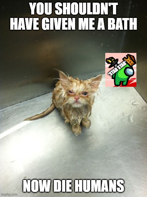 Kill You Cat |  YOU SHOULDN'T HAVE GIVEN ME A BATH; *STAB STAB*; NOW DIE HUMANS | image tagged in memes,kill you cat,die,funny cats,among us,among us stab | made w/ Imgflip meme maker