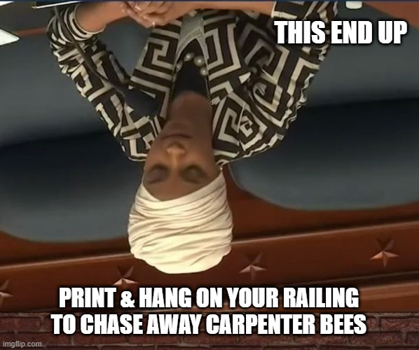 Wasp nest | THIS END UP; PRINT & HANG ON YOUR RAILING TO CHASE AWAY CARPENTER BEES | image tagged in bees,wasp | made w/ Imgflip meme maker