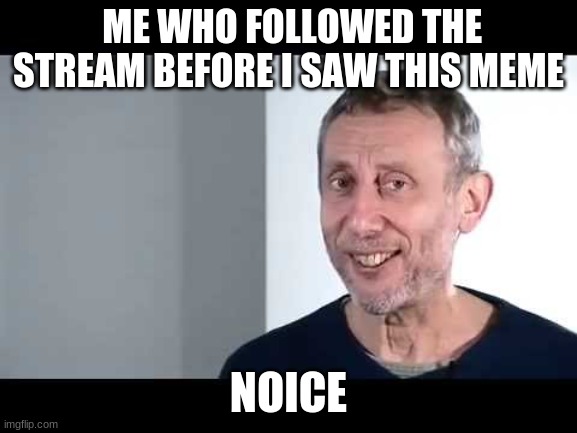 noice | ME WHO FOLLOWED THE STREAM BEFORE I SAW THIS MEME NOICE | image tagged in noice | made w/ Imgflip meme maker