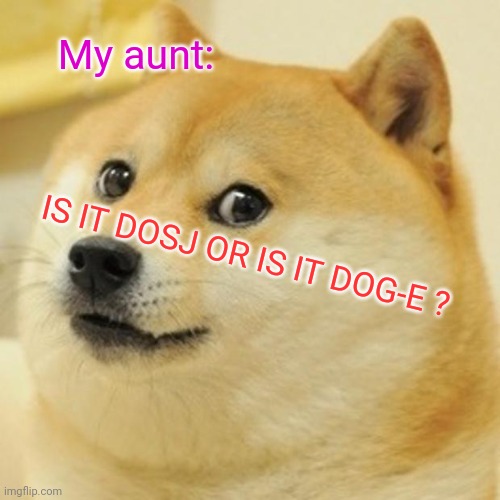 Doge | My aunt:; IS IT DOSJ OR IS IT DOG-E ? | image tagged in memes,doge | made w/ Imgflip meme maker