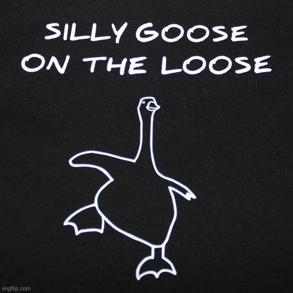 Silly goose on the loose | image tagged in silly goose on the loose | made w/ Imgflip meme maker