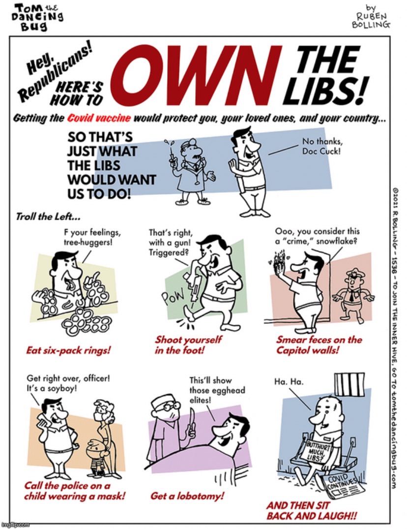 How to own the libs | image tagged in how to own the libs | made w/ Imgflip meme maker
