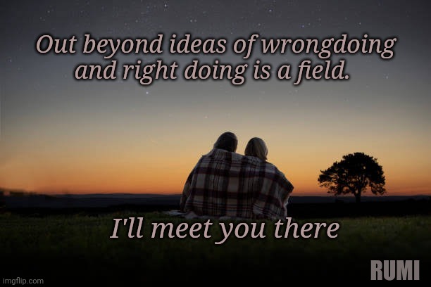 I'll see you in that field | Out beyond ideas of wrongdoing and right doing is a field. I'll meet you there; RUMI | image tagged in peace | made w/ Imgflip meme maker