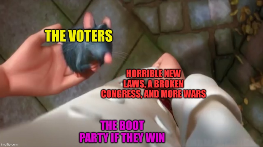 THE VOTERS; HORRIBLE NEW LAWS, A BROKEN CONGRESS, AND MORE WARS; THE BOOT PARTY IF THEY WIN | made w/ Imgflip meme maker