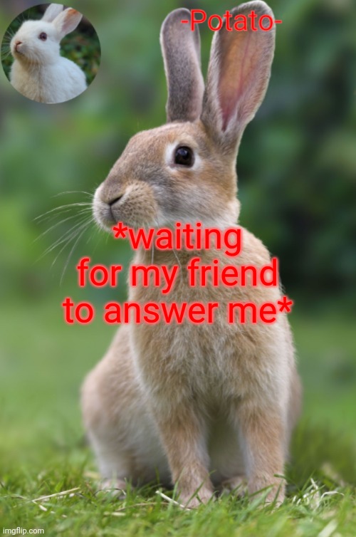 I haven't texted her in a month and I'm bored | *waiting for my friend to answer me* | image tagged in -potato- rabbit announcement | made w/ Imgflip meme maker