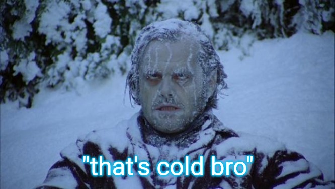Cold | "that's cold bro" | image tagged in cold | made w/ Imgflip meme maker