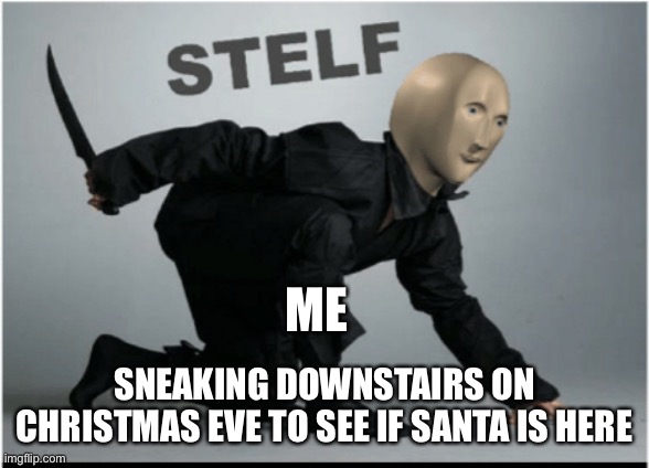 Stelf | ME; SNEAKING DOWNSTAIRS ON CHRISTMAS EVE TO SEE IF SANTA IS HERE | image tagged in stelf | made w/ Imgflip meme maker