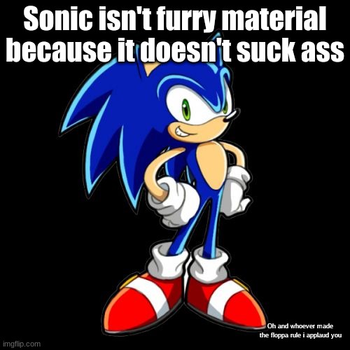 You're Too Slow Sonic Meme | Sonic isn't furry material because it doesn't suck ass; Oh and whoever made the floppa rule i applaud you | image tagged in memes,you're too slow sonic | made w/ Imgflip meme maker