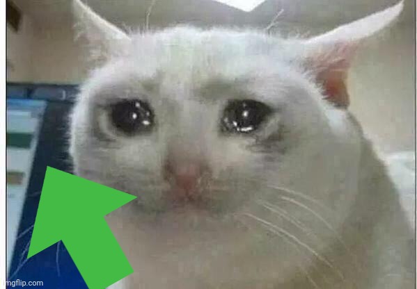 crying cat | image tagged in crying cat | made w/ Imgflip meme maker