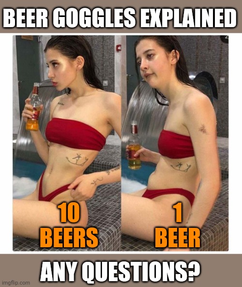 Beer education.... | BEER GOGGLES EXPLAINED; 10 BEERS; 1 BEER; ANY QUESTIONS? | image tagged in hot girl ugly,beer,drinking | made w/ Imgflip meme maker