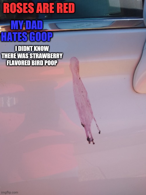Wow I didn't know that | ROSES ARE RED; MY DAD HATES GOOP; I DIDNT KNOW THERE WAS STRAWBERRY FLAVORED BIRD POOP | image tagged in birds,poop,strawberry | made w/ Imgflip meme maker