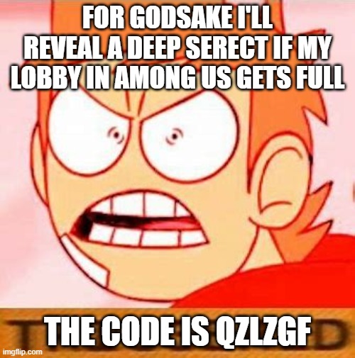 tord is triggered | FOR GODSAKE I'LL REVEAL A DEEP SERECT IF MY LOBBY IN AMONG US GETS FULL; THE CODE IS QZLZGF | image tagged in tord is triggered | made w/ Imgflip meme maker