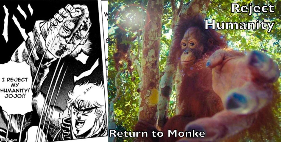 image tagged in i reject my humanity jojo,return to monke | made w/ Imgflip meme maker