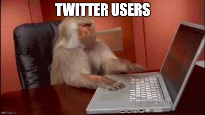 Twitter is brain rot | TWITTER USERS | image tagged in office monkey computer despair | made w/ Imgflip meme maker