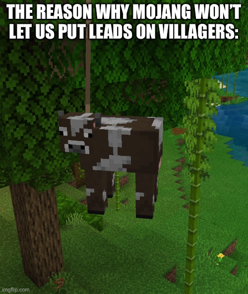 If you don’t get it, it’s supposed to look like he’s hanging himself | THE REASON WHY MOJANG WON’T LET US PUT LEADS ON VILLAGERS: | made w/ Imgflip meme maker