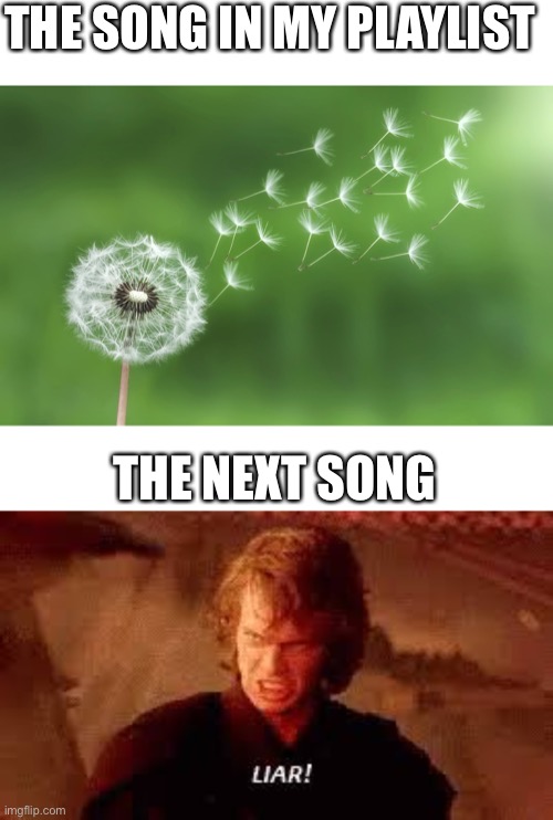 I have two very different music tastes | THE SONG IN MY PLAYLIST; THE NEXT SONG | image tagged in dandelion,anakin liar | made w/ Imgflip meme maker