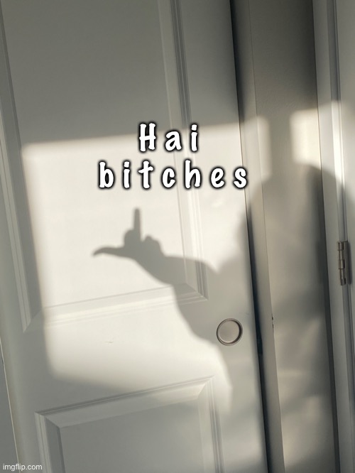 H a i 
b i t c h e s | made w/ Imgflip meme maker