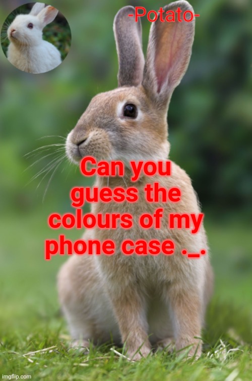 There's two :/ | Can you guess the colours of my phone case ._. | image tagged in -potato- rabbit announcement | made w/ Imgflip meme maker