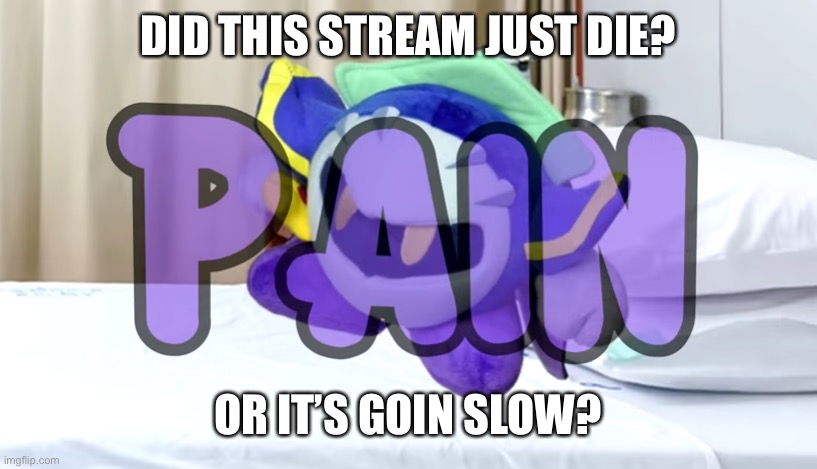 Meta Knight pain | DID THIS STREAM JUST DIE? OR IT’S GOIN SLOW? | image tagged in meta knight pain | made w/ Imgflip meme maker
