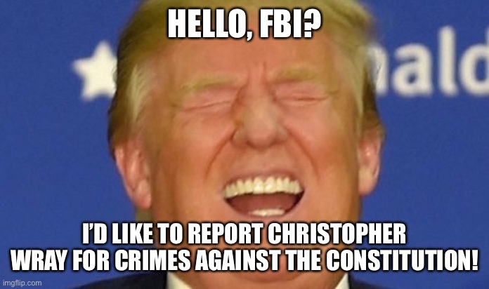 Just for starters. | HELLO, FBI? I’D LIKE TO REPORT CHRISTOPHER WRAY FOR CRIMES AGAINST THE CONSTITUTION! | image tagged in fbi,government corruption,trump russia collusion,protesters,politics,funny memes | made w/ Imgflip meme maker