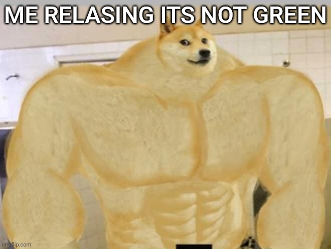Buff Doge | ME RELASING ITS NOT GREEN | image tagged in buff doge | made w/ Imgflip meme maker